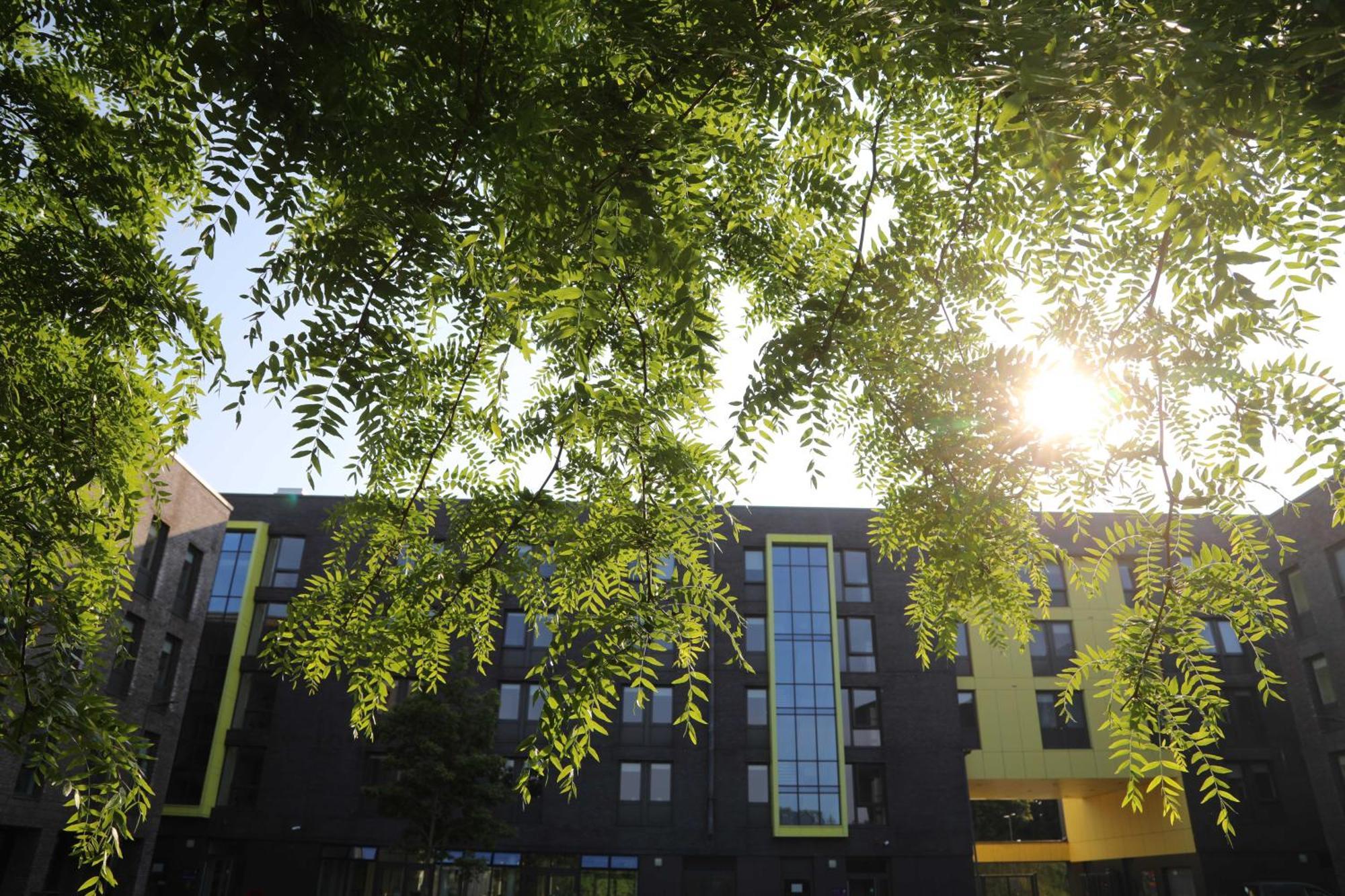 Goldcrest Village Apartments University Of Galway Dış mekan fotoğraf